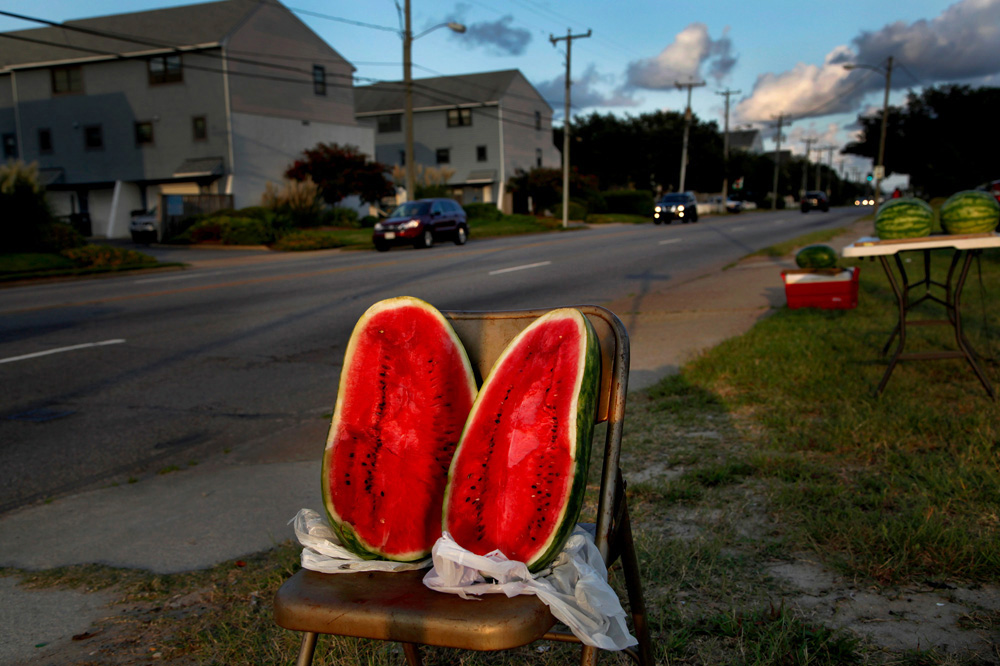  Watermelon, by Preston Gannaway 