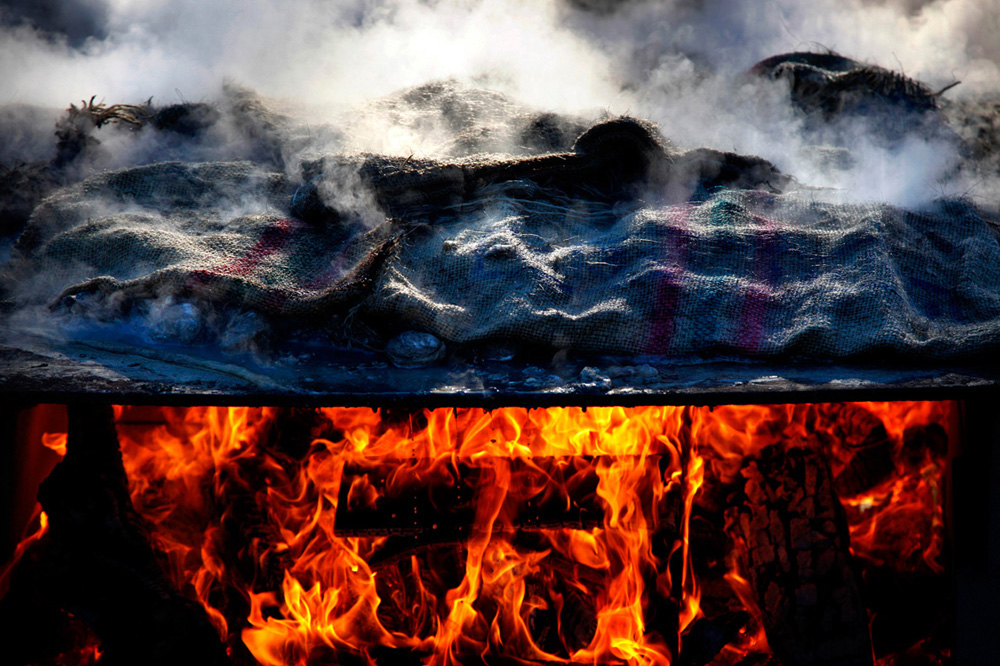  Oysters, by Preston Gannaway 